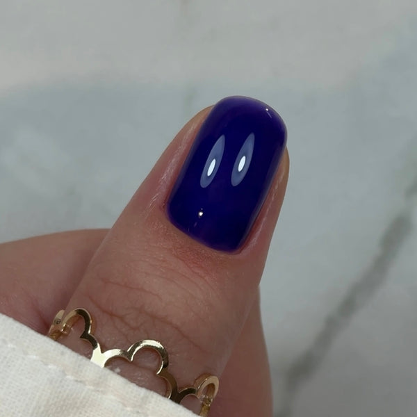 Stavebný gél vo fľaštičke BBIO Blueberry, HEMA & TPO free, Didier Lab 15ml