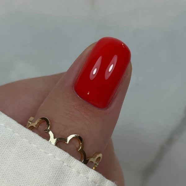 Stavebný gél vo fľaštičke BBIO Ferrary Red, HEMA & TPO free, Didier Lab 15ml